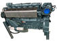 OEM Shacman Lkw-Teile Dieselmotor 6 Zylinder Für Weichai WD615 Dieselmotor